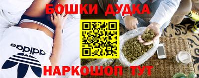 гидропоника Кимры