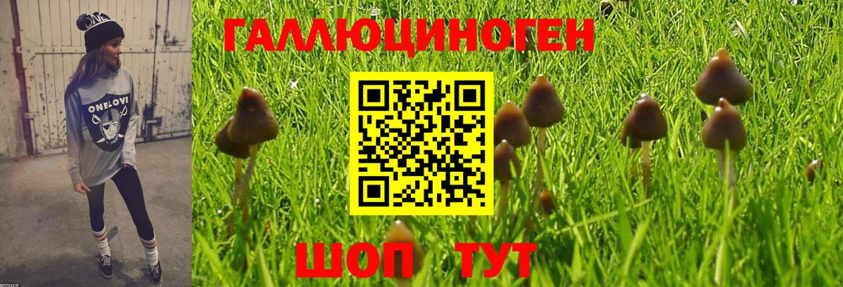 Галлюциногенные грибы Magic Shrooms Благовещенск